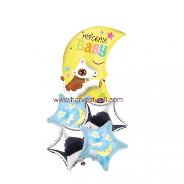 Congratulations on your new baby boy Balloon Bouquet Congratulations on your new baby boy Balloon Bouquet